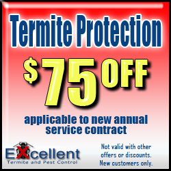 Termite protection $75.00 off